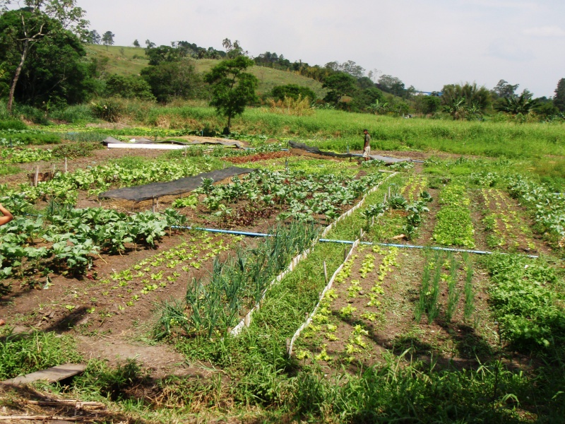 ENFF Agriculture Training