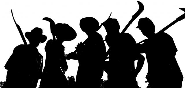 Peasants Launch Manifesto