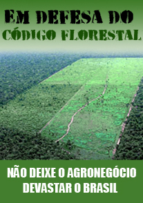 In Defense of the Forest Code