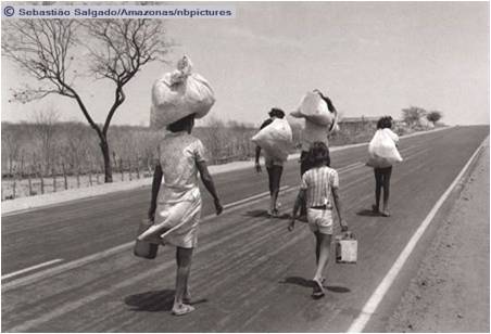 Migration to the City